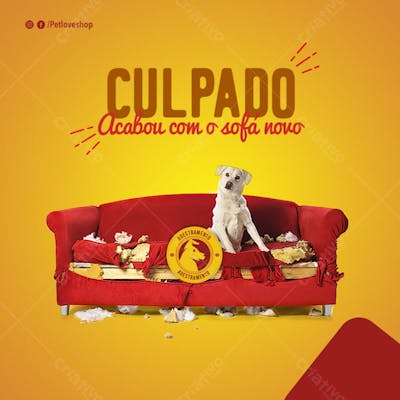 FLYER PETS SHOPP CULPADO