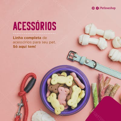 FLYER PETS SHOPP ACESSÓRIOS