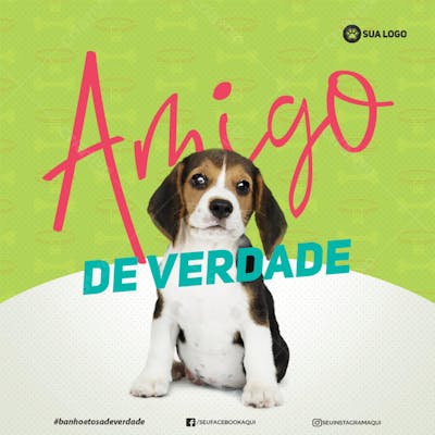 FLYER PETS SHOPP AMIGO DE VERDADE
