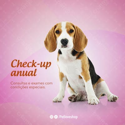 FLYER PETS SHOPP 7