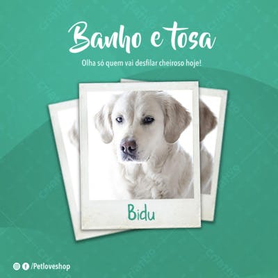 FLYER PETS SHOPP BANHO DE TOSA