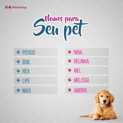 FLYER PETS SHOPP 10