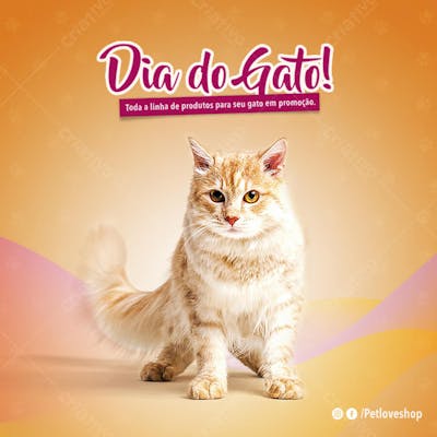 FLYER PETS SHOPP 2
