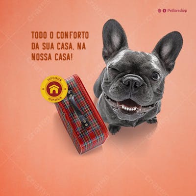 FLYER PETS SHOPP 12