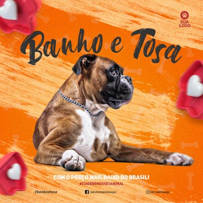 FLYER PETS SHOPP BANHO E TOSA 2