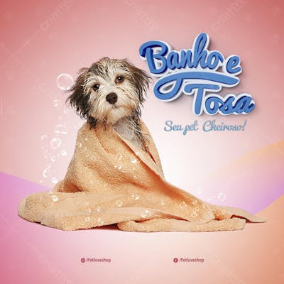 FLYER PETS SHOPP BANHO E TOSA