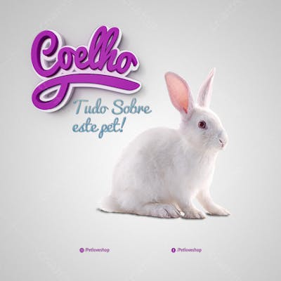 FLYER PETS SHOPP COELHO