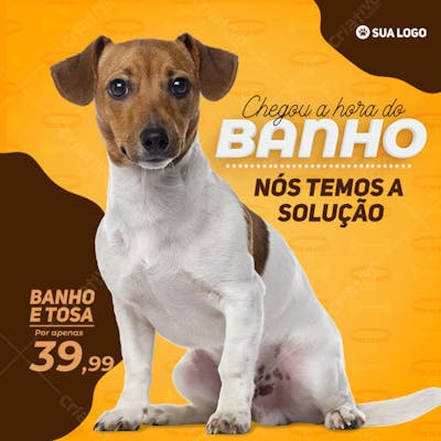 FLYER PETS SHOPP CHEGOU A HORA DO BANHO