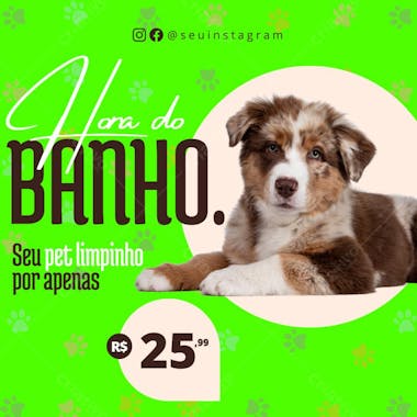 Pet Shop Bath and Grooming