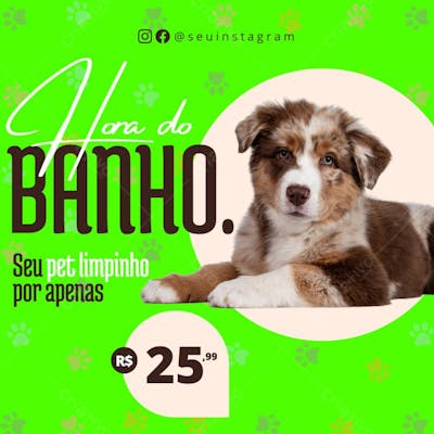 Pet Shop Banho e Tosa 