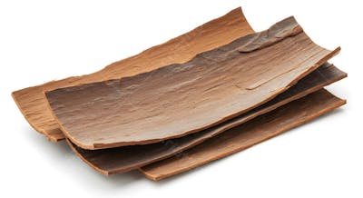 Pedaços de casca de canela curvados em fundo branco