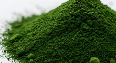 Pó de espirulina verde vibrante em fundo branco