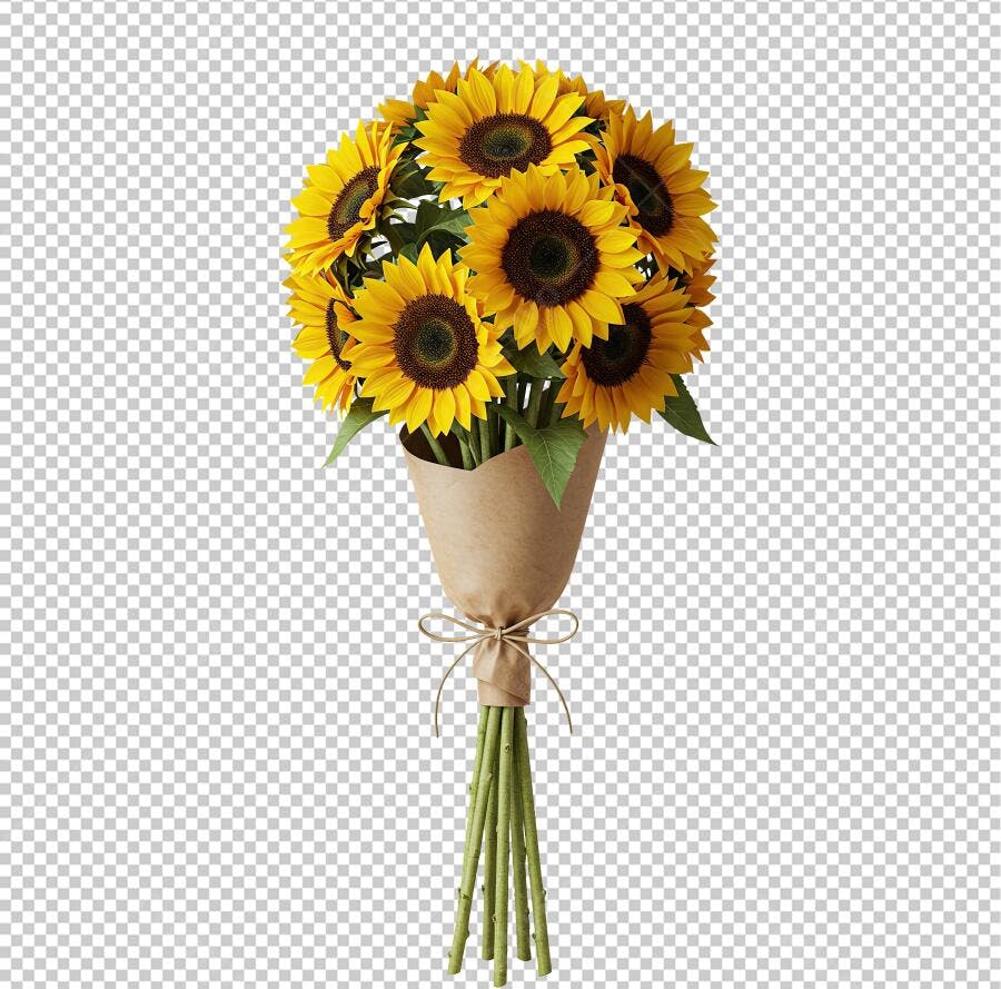 Post Instagram Girassóis PNG com fundo transparente
