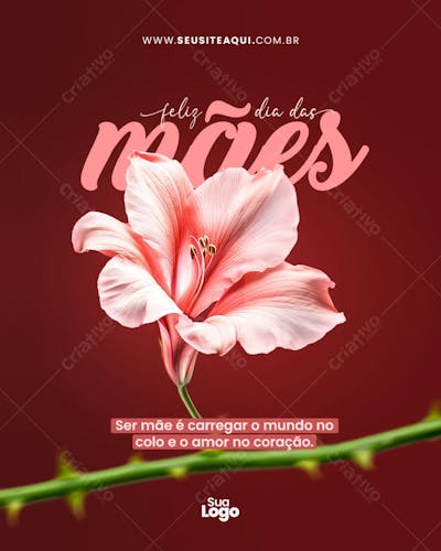 Feed-Vertical-Dia-das-Mães-_1-3