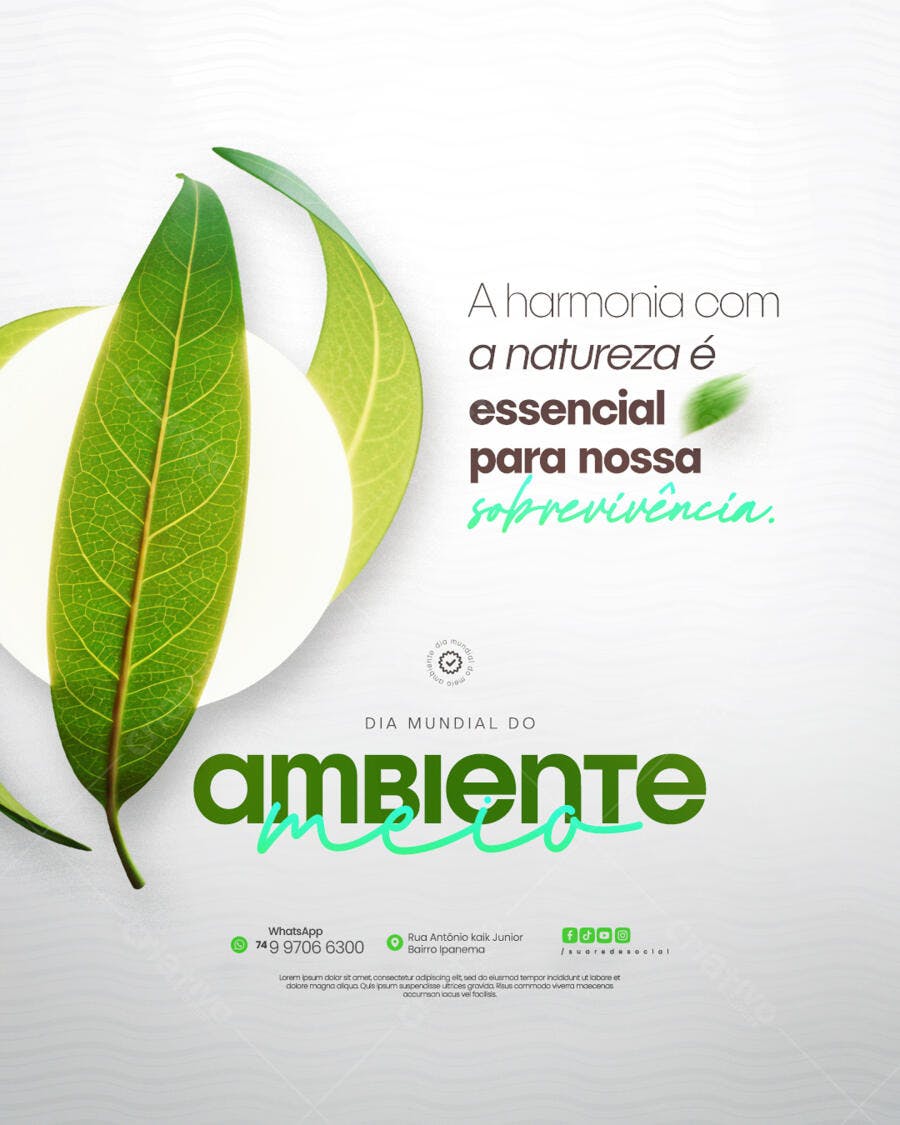 Flyer Dia Mundial do Meio Ambiente PSD Editável
