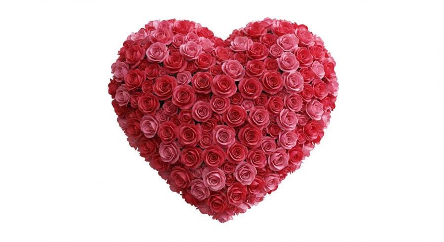 Coração de rosas vermelhas e rosadas