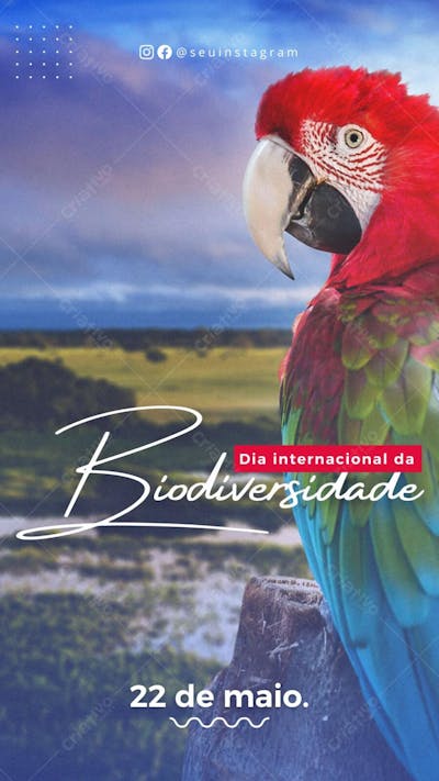 Arte dia internacional da biodiversidade 