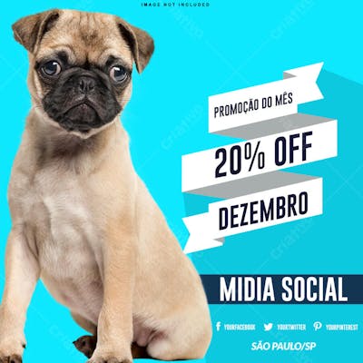 PROMOÇÃO PETS