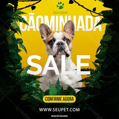 CÃOMINHADA FLYER