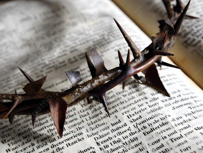 uma-coroa-de-espinhos-sobre-a-biblia- (2)
