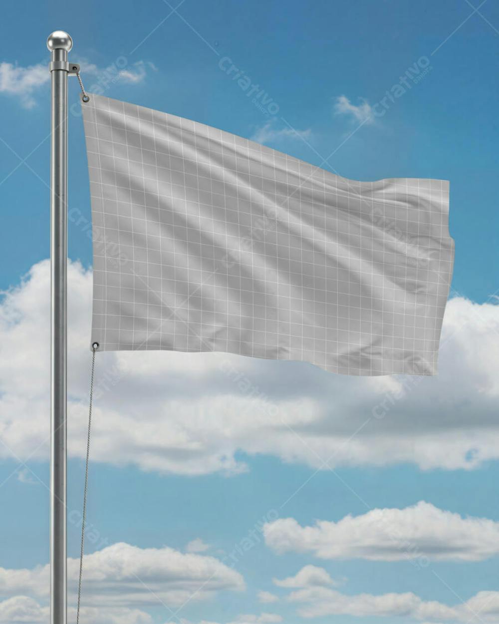 Flag 50