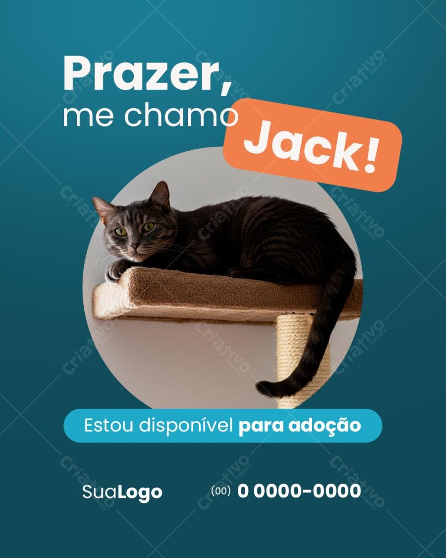 Post para Adoção de Gato PSD Editável