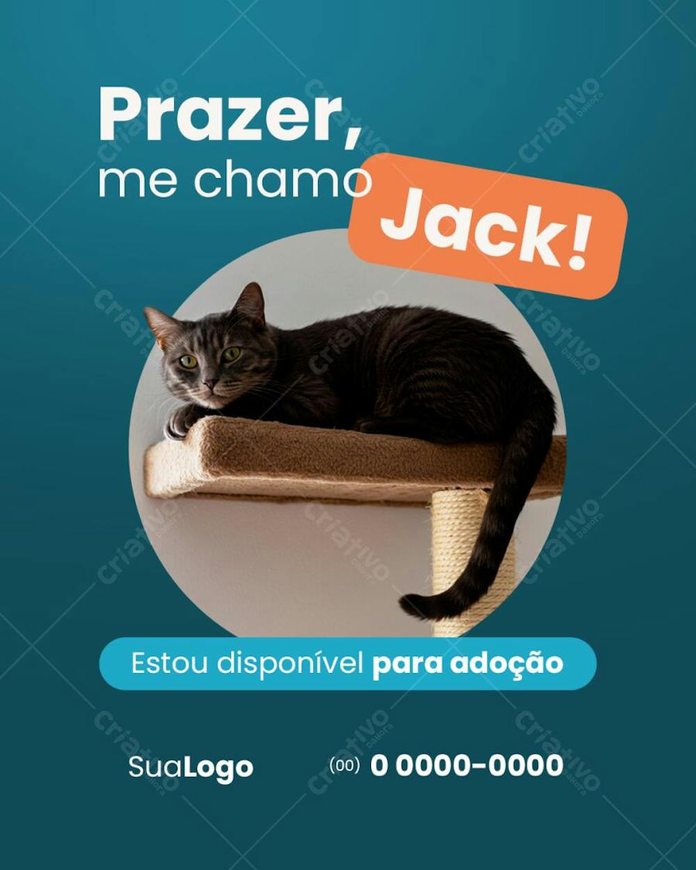 Coleção Social Media - Posts para Pet Shop Gato