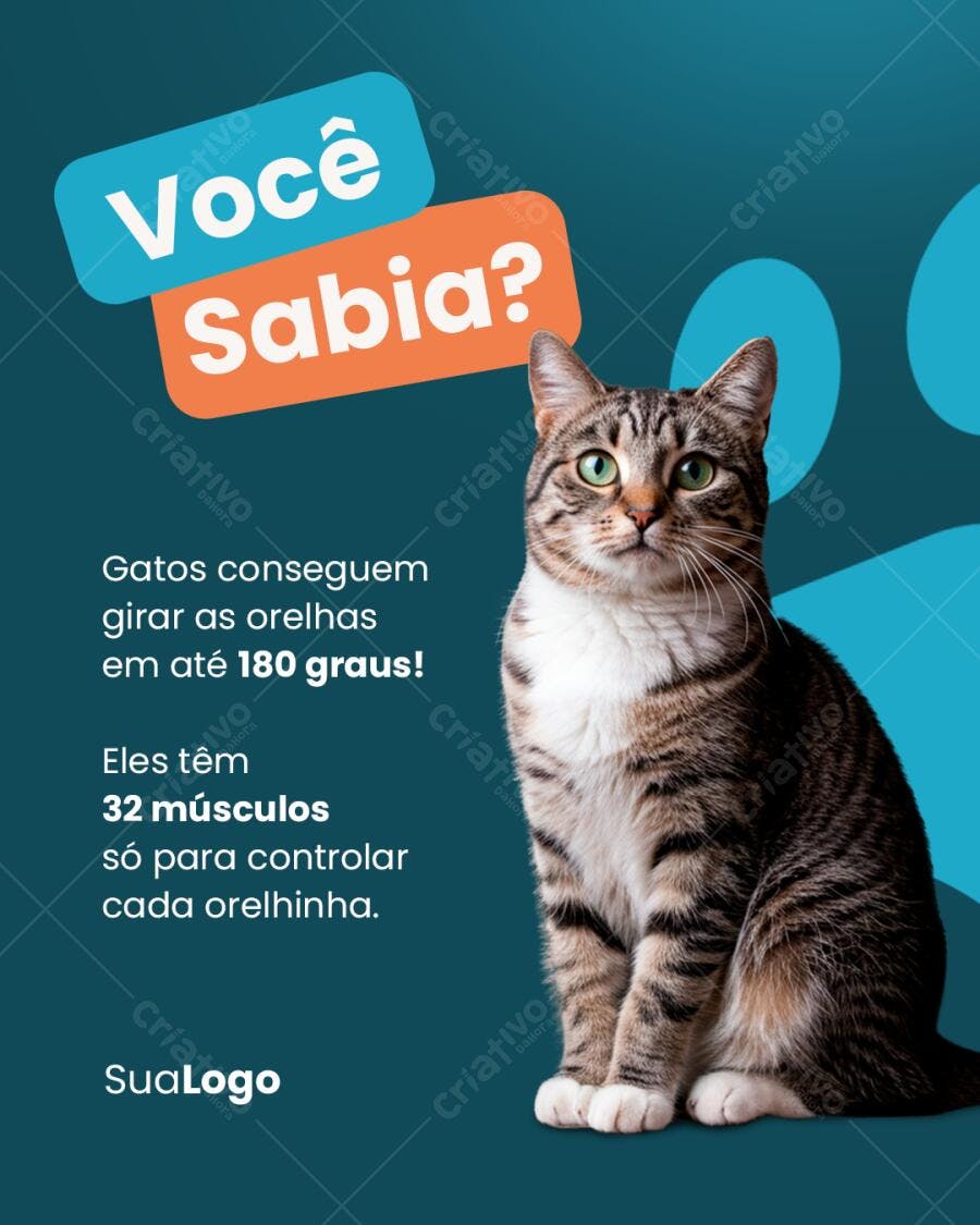 Post para Redes Sociais com Gato PSD Editável
