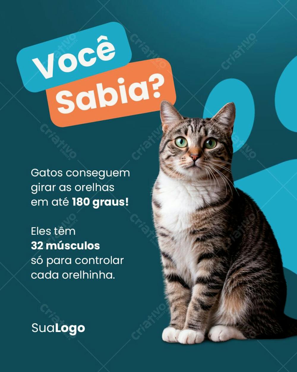 Coleção Social Media - Posts para Pet Shop