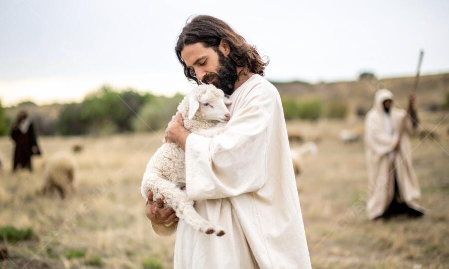Jesus segurando cordeiro branco em pasto