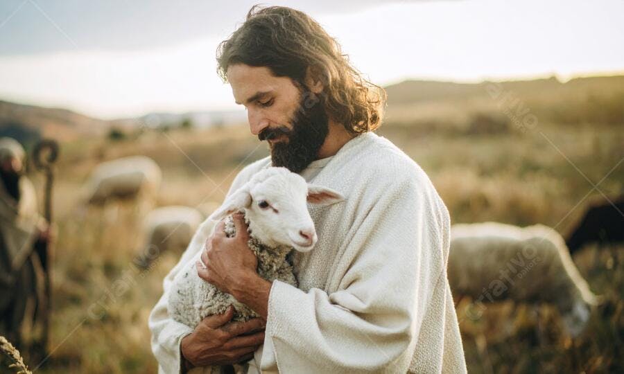 Jesus segurando cordeiro em campo