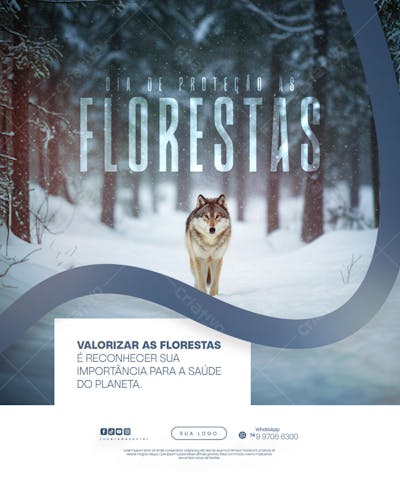 11 de Julho - Dia de Proteção às Florestas Flyer Social Media PSD Editável (10)
