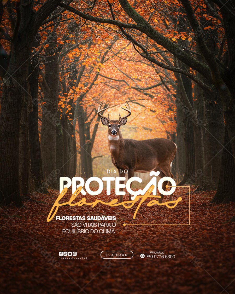 Post para o Dia da Proteção das Florestas PSD Editável