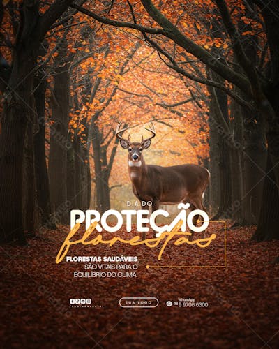11 de Julho - Dia de Proteção às Florestas Flyer Social Media PSD Editável (12)
