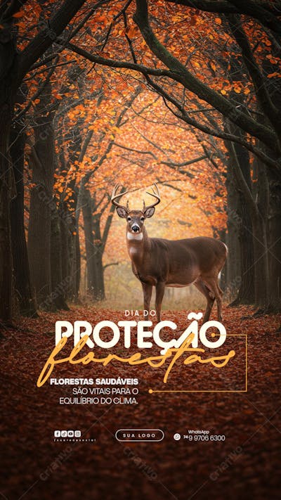 11 de Julho - Dia de Proteção às Florestas Flyer Social Media PSD Editável (6)