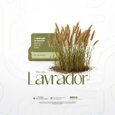 23 de Junho - Dia do Lavrador Social Media PSD Editável (14)