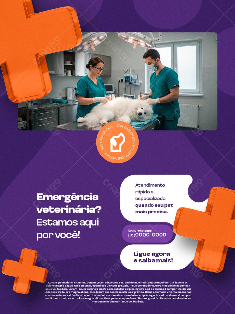Flyer Veterinária Emergência PSD Editável