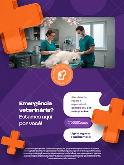 post 4 veterinaria - PSD EDITAVEL_