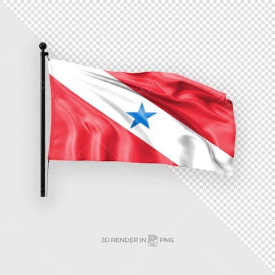 Bandeira Pará