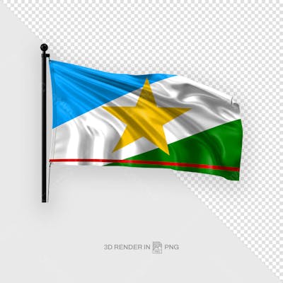 Bandeira Roraima