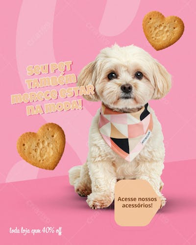 Campanha Semana do Amor Pet  Social media PSD Editavel 4