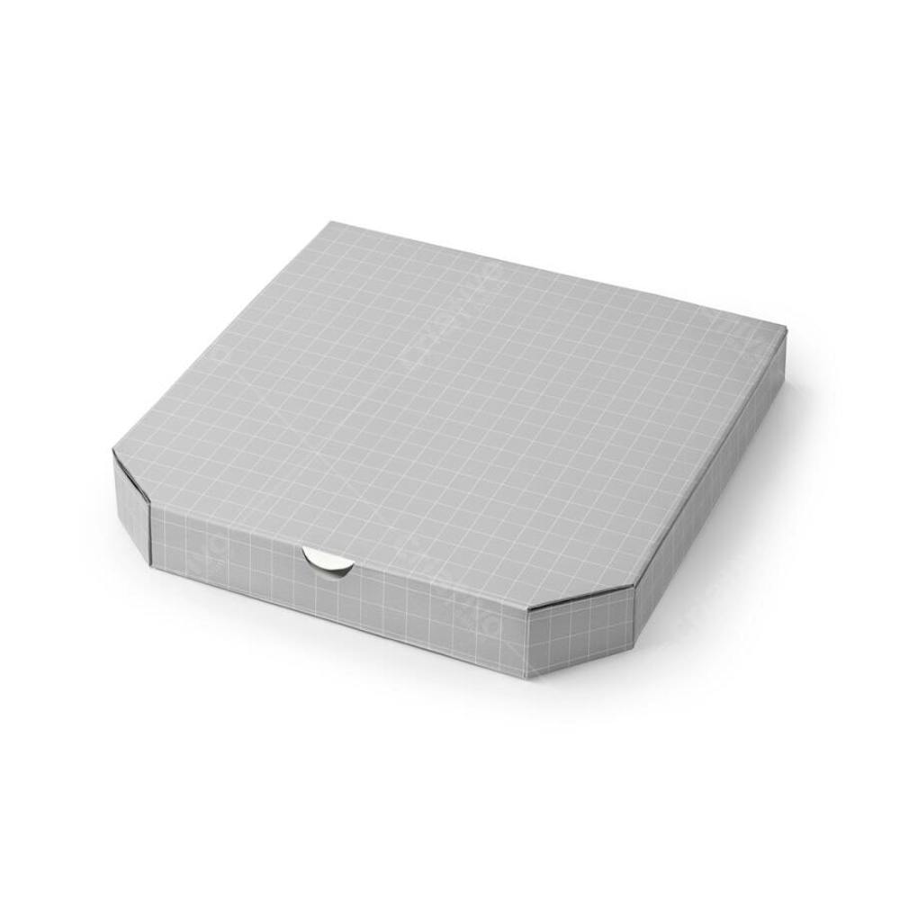 Paper Pizza Box 1