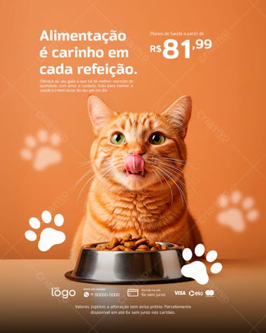 Flyer com design clean e moderno, em tons de laranja e branco, com a imagem de um gato ruivo comendo. Ideal para pet shops, clínicas veterinárias e lojas de ração, buscando  atrair clientes com foco em saúde e bem-estar animal.