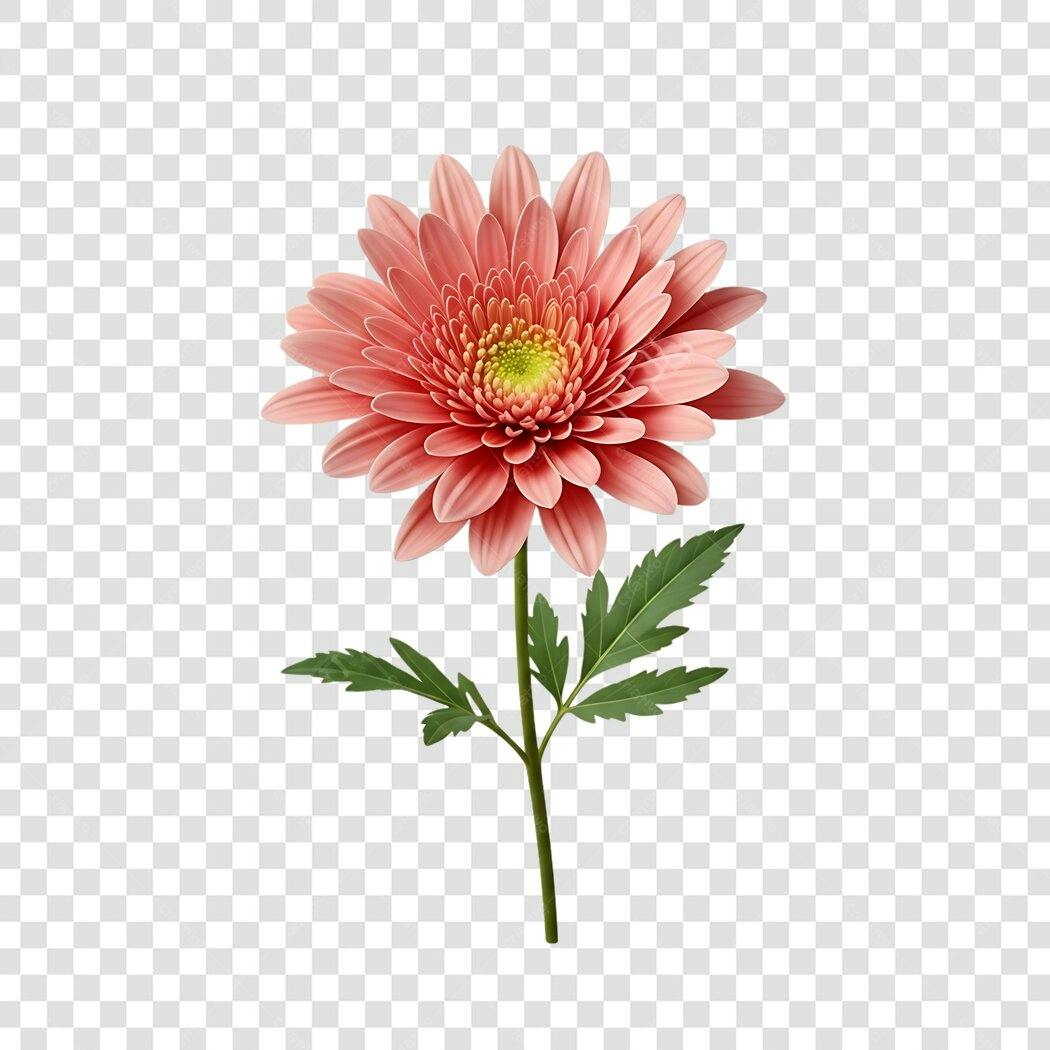 Elemento Floral Rosa PNG com fundo transparente