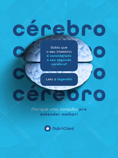 NUTRICIONISTA POST 6