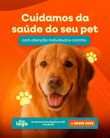 CUIDAMOS DA SAÚDE DO SEU PET SOCIAL MEDIA VETERINÁRIO  - SOCIAL MEDIA CLINICA VETERINARIA