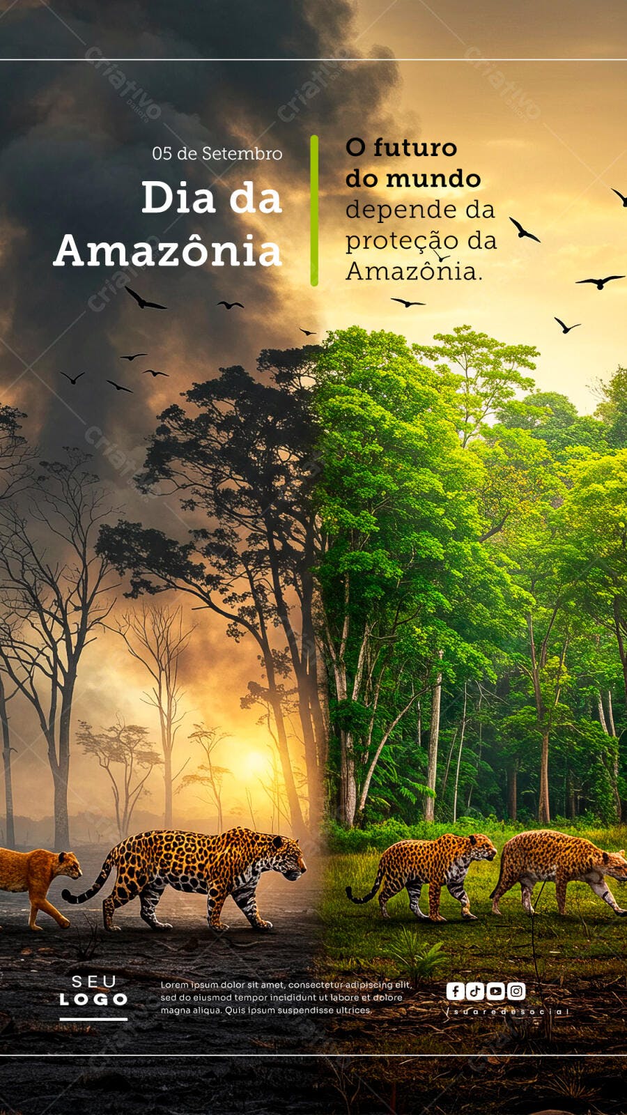 Flyer Dia da Amazônia PSD Editável