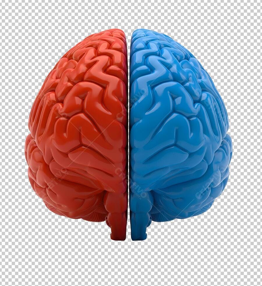 Icone Cérebro Vermelho e Azul PNG com fundo transparente