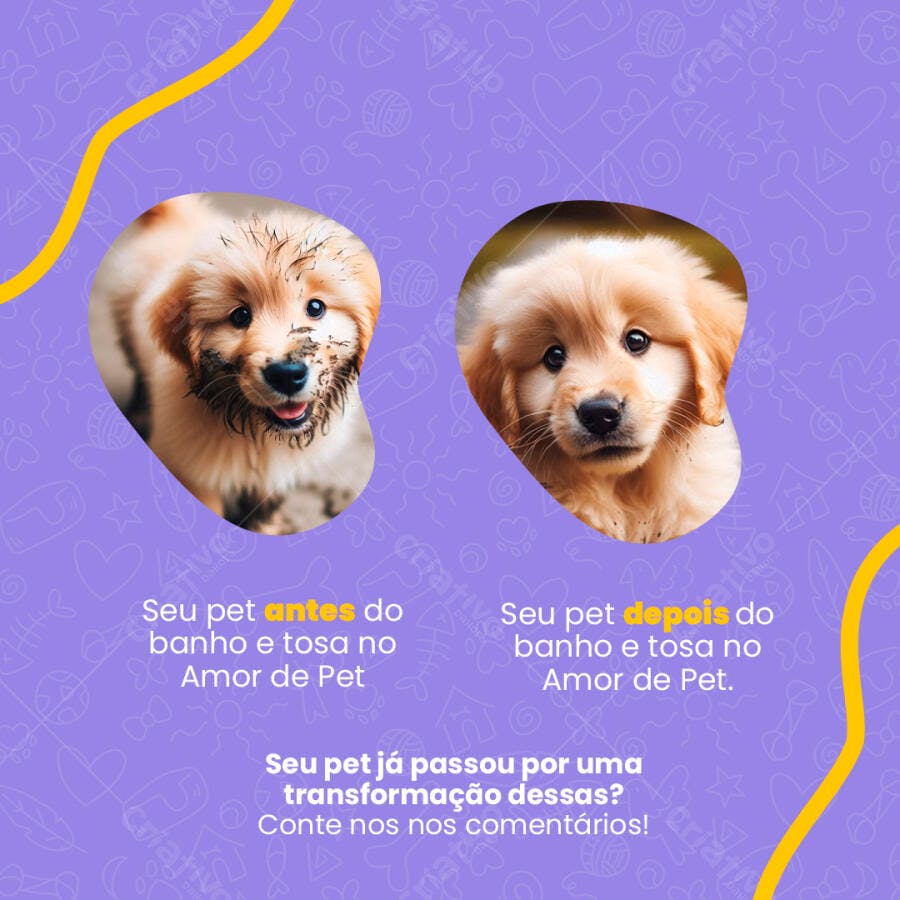 Post para Pet Shop PSD Editável