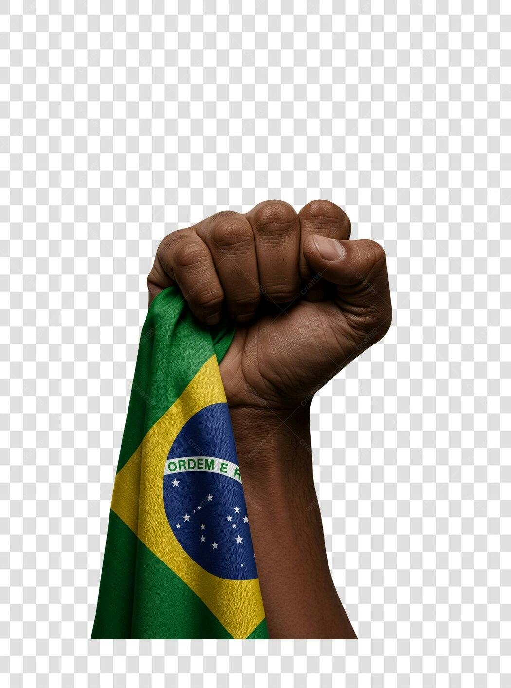 Icone Mão com Bandeira Brasil PNG com fundo transparente